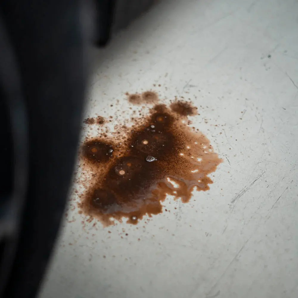 Spumone Self Nettoyant de prélavage et dégraissant universel pour car-wash Fra-Ber